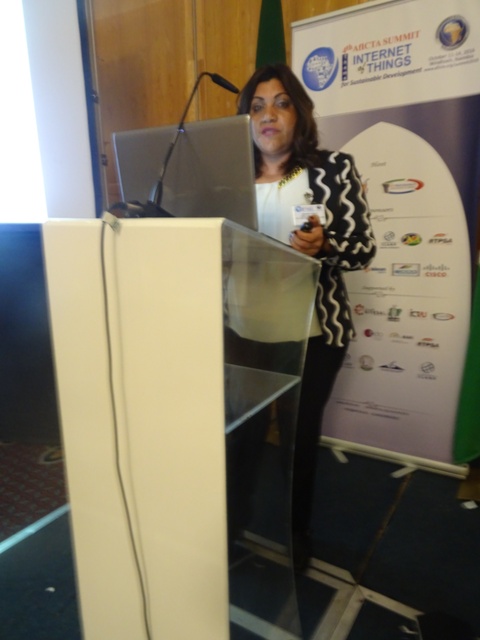 Nirvana Farrag during her presentation
