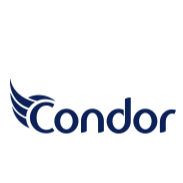Condor electronics