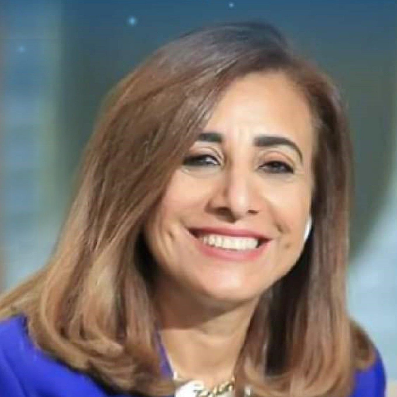 Ms Hoda Dahroug